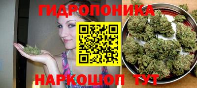 mix Можга