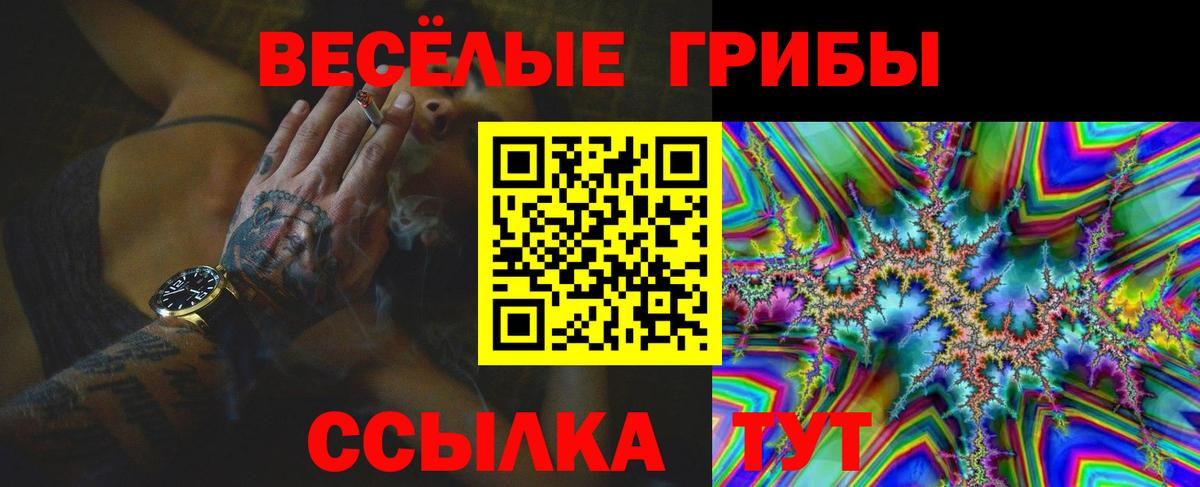 как найти наркотики  Вход с VPN  Псилоцибиновые грибы MAGIC MUSHROOMS  Владимир  Галлюциногенные грибы ЛСД 